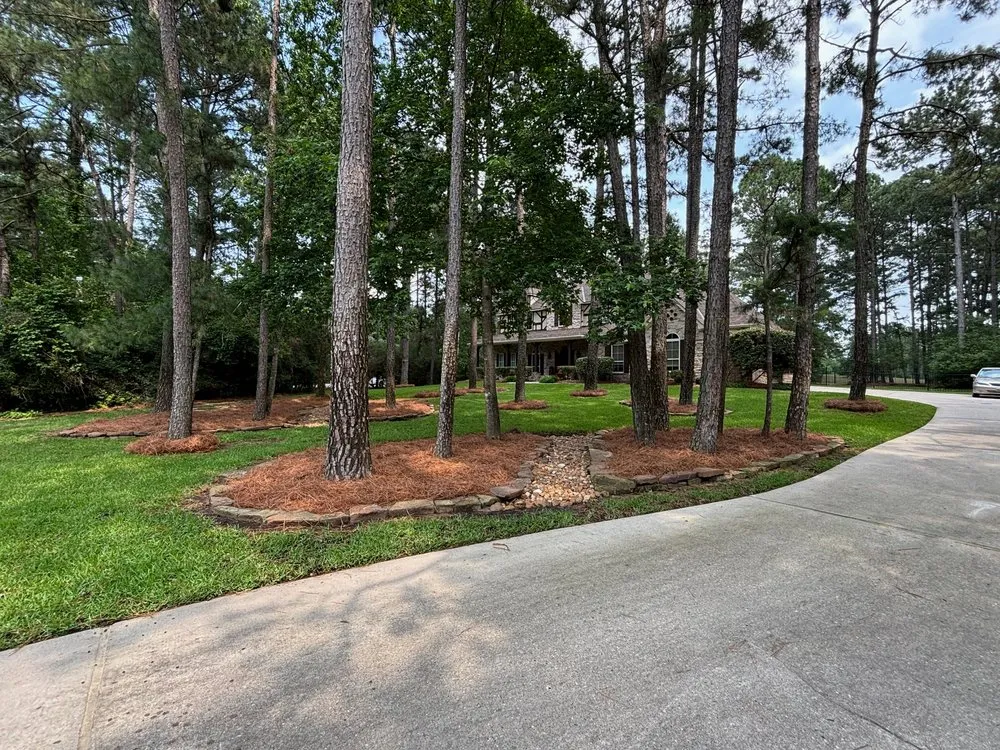 Reliable landscaping services in Katy, TX - Pine Straw Texas