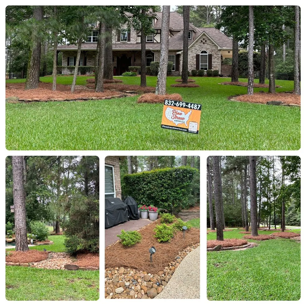 Expert landscape installation for outdoor upgrades across Katy, TX - Pine Straw Texas
