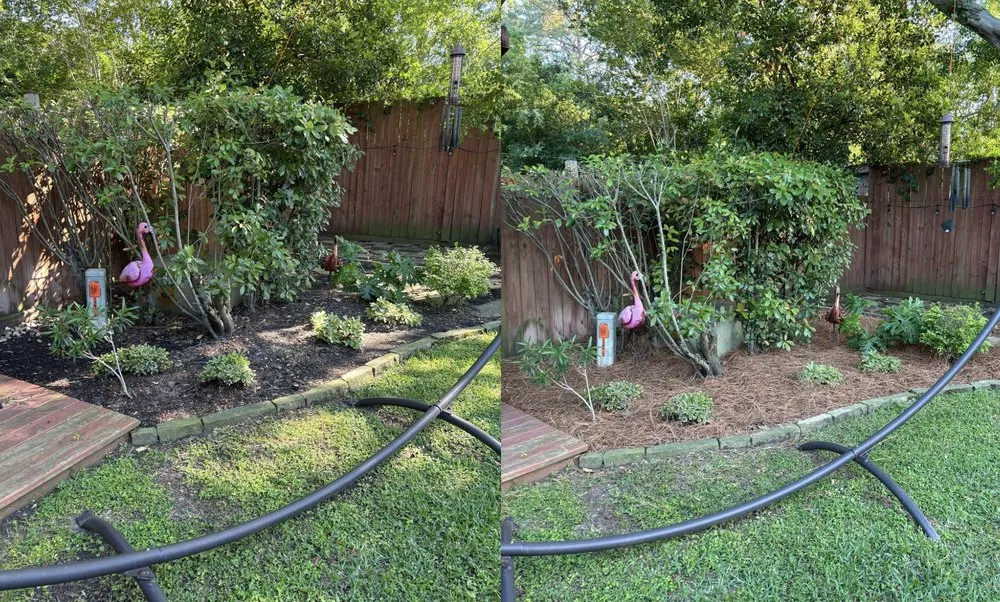Top-rated landscape installation for year-round maintenance across Katy, TX - Pine Straw Texas