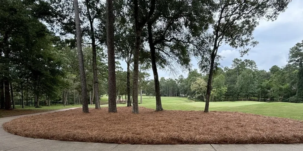 Affordable lawn care service in Katy, TX by Pine Straw Texas