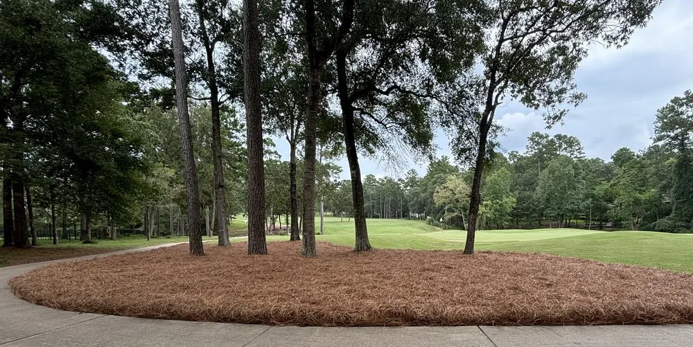 Top-rated landscape installation with custom design in Katy, TX by Pine Straw Texas