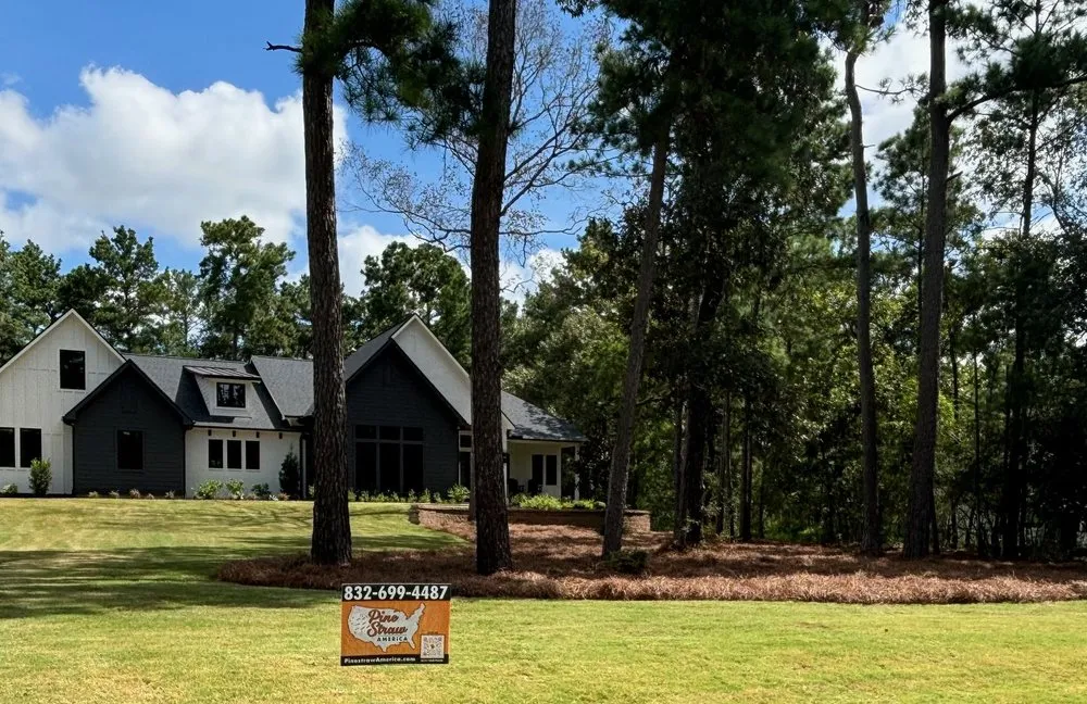 Trusted landscaping services for beautiful yards across Katy, TX - Pine Straw Texas