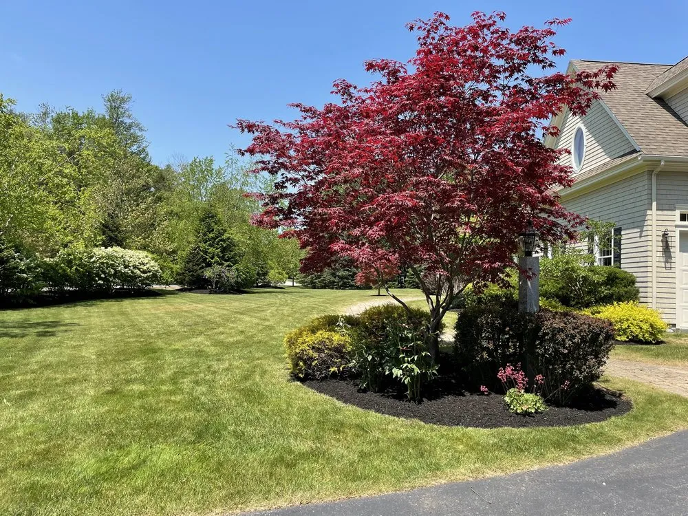 Top-rated outdoor landscaping experts serving Freeport, ME - Pine Tree Lawn Services