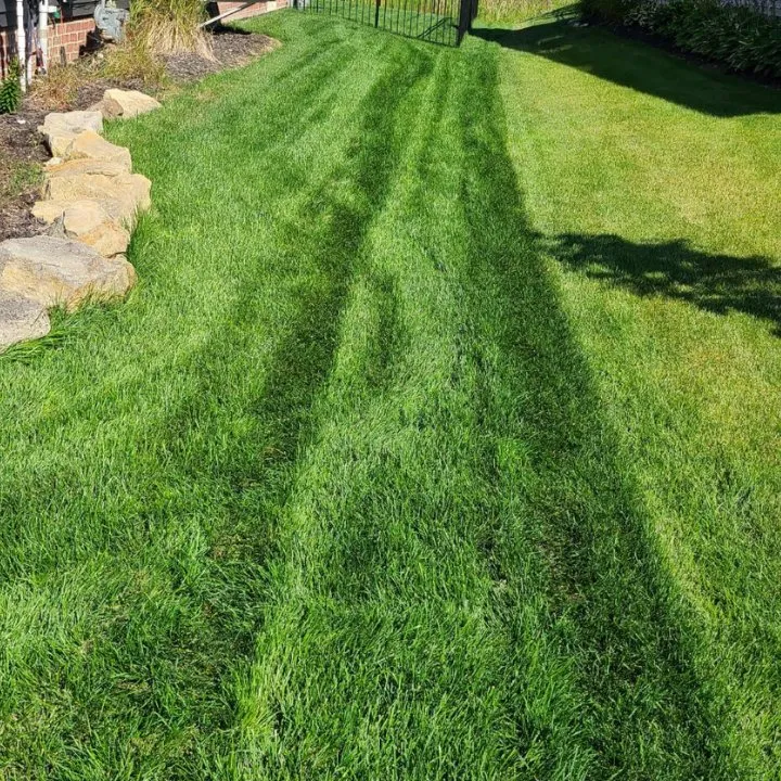Trusted yard cleanup service for homes across Concord, NC - Pine Valley Turf Management