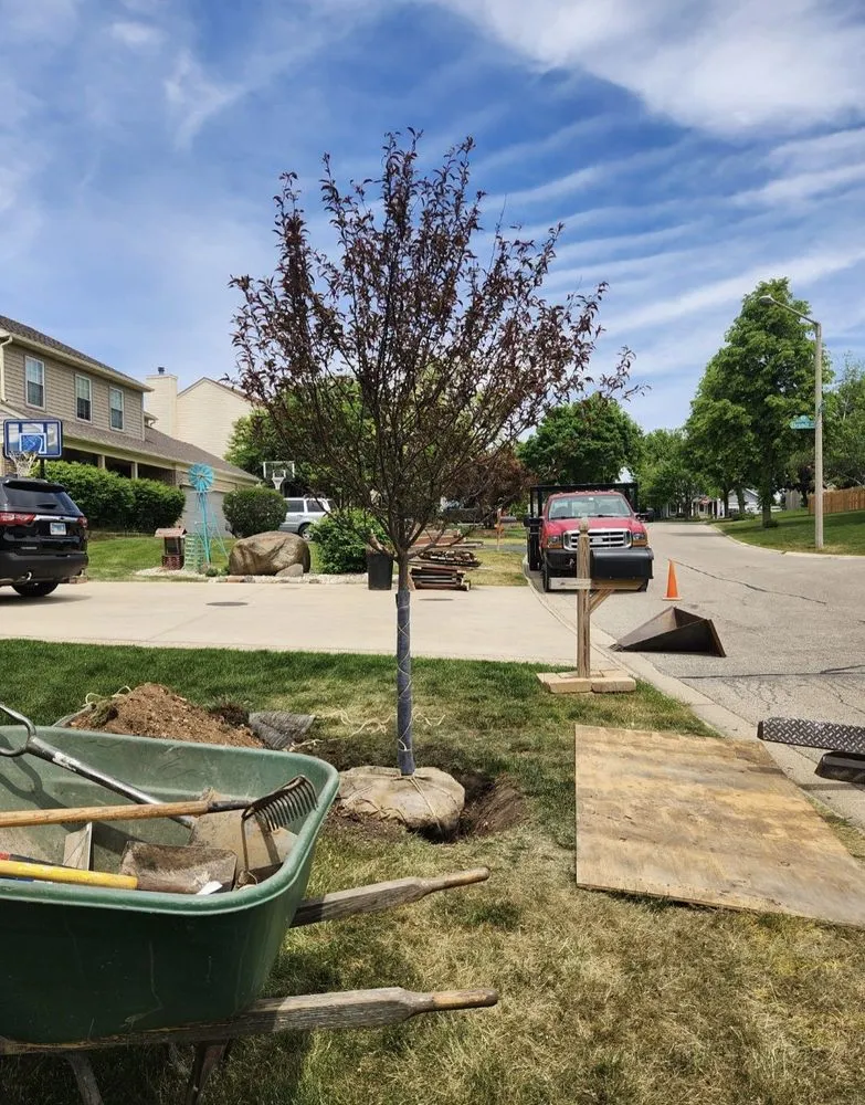 Affordable landscape installation for homes in Harvard, IL by Pine View Nursery