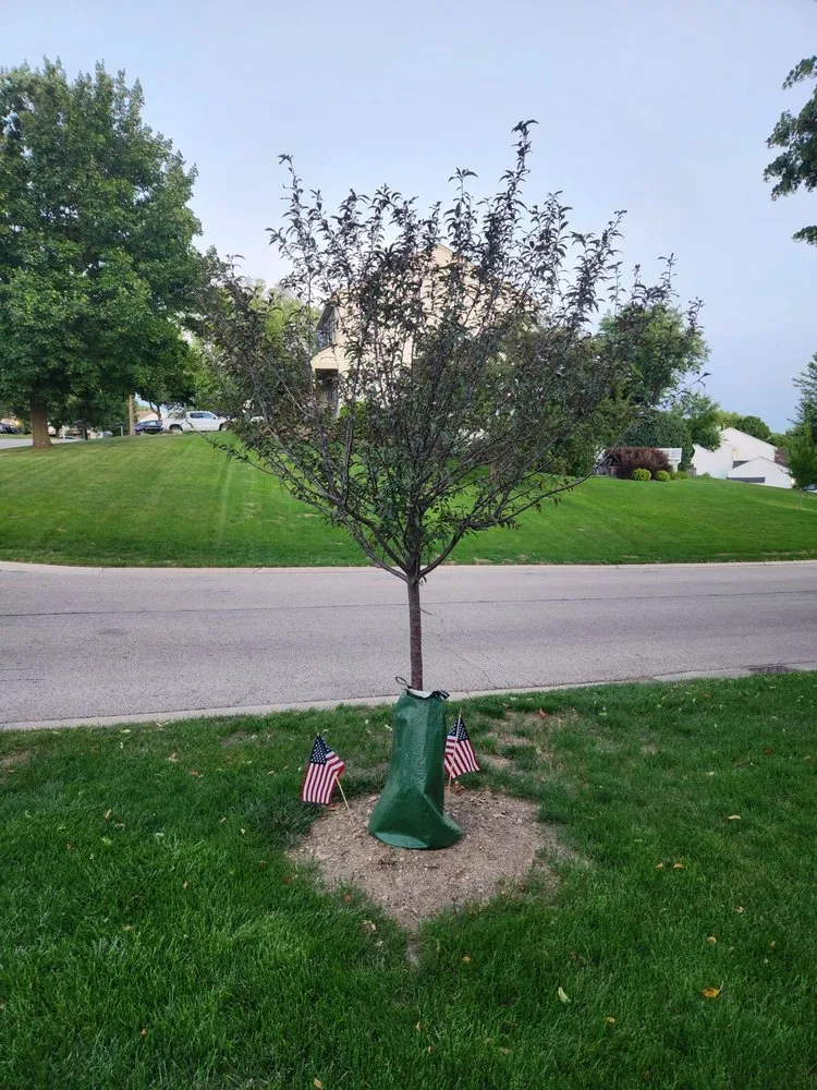 Affordable residential landscaping in Harvard, IL by Pine View Nursery