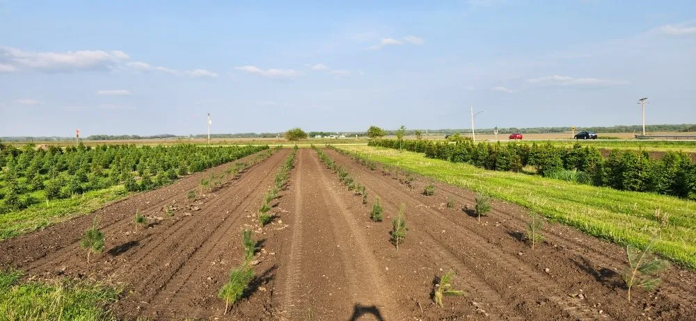 Affordable yard maintenance for homes in Harvard, IL by Pine View Nursery