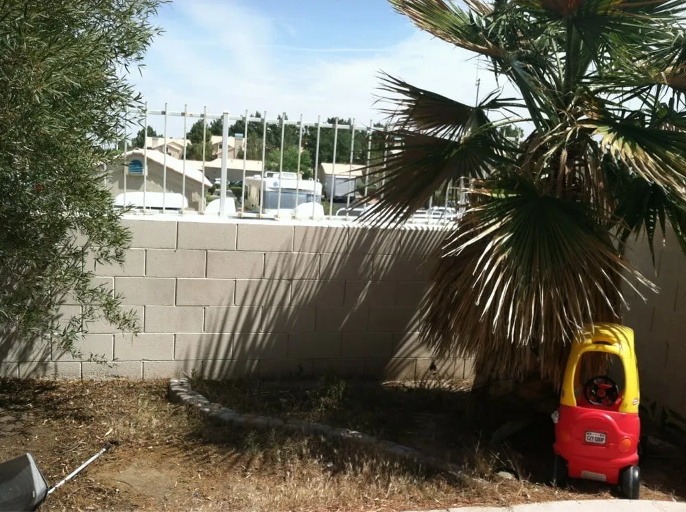 Trusted yard cleanup service experts serving Las Vegas, NV - Pineapple Lawn Service