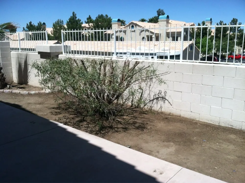 Custom residential landscaping experts serving Las Vegas, NV - Pineapple Lawn Service