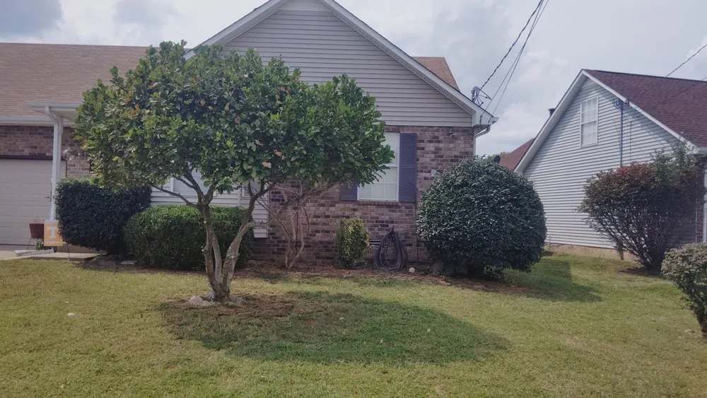 Custom landscape design for residential properties across La Vergne, TN - Pineapple Wood Landscaping