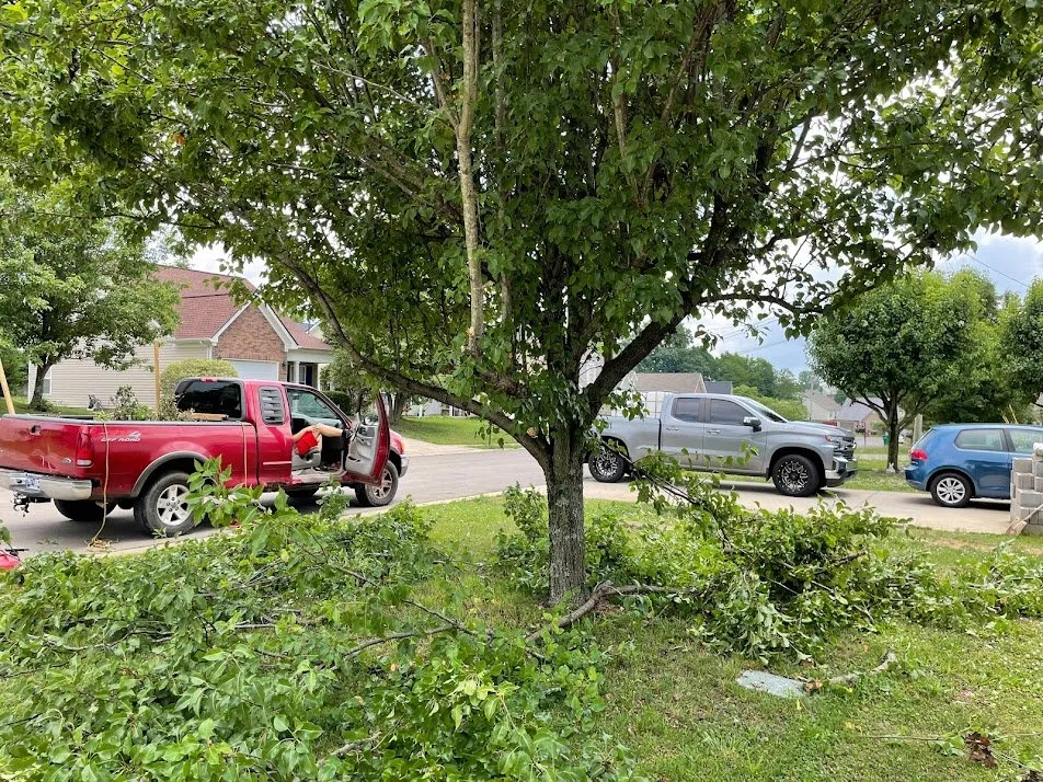 Top-rated yard maintenance in La Vergne, TN by Pineapple Wood Landscaping