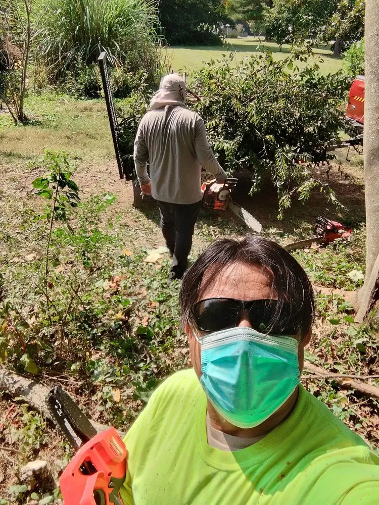 Local garden landscaping experts serving La Vergne, TN - Pineapple Wood Landscaping