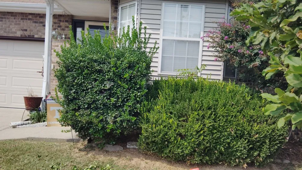 Affordable yard cleanup service experts serving La Vergne, TN - Pineapple Wood Landscaping