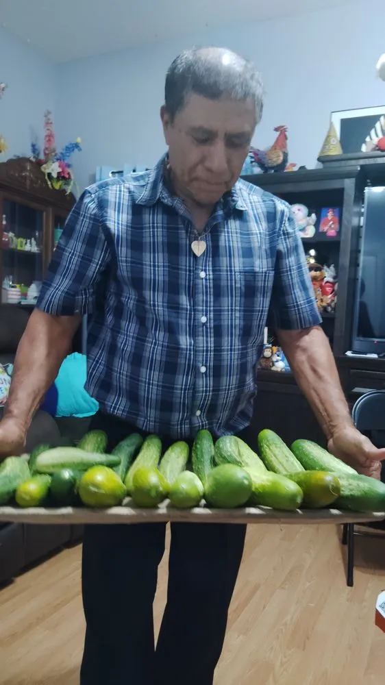 Affordable garden landscaping experts serving La Vergne, TN - Pineapple Wood Landscaping