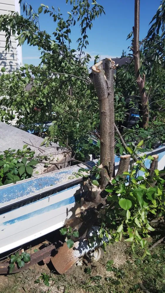 Top-rated yard maintenance experts serving La Vergne, TN - Pineapple Wood Landscaping