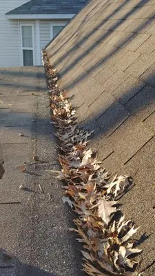 Pineapple Wood Landscaping Logo