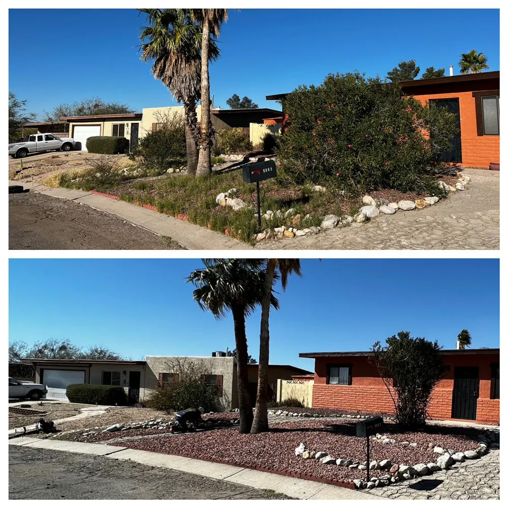 Trusted yard maintenance in Casas Adobes, AZ by PineApple Xpress Landscaping