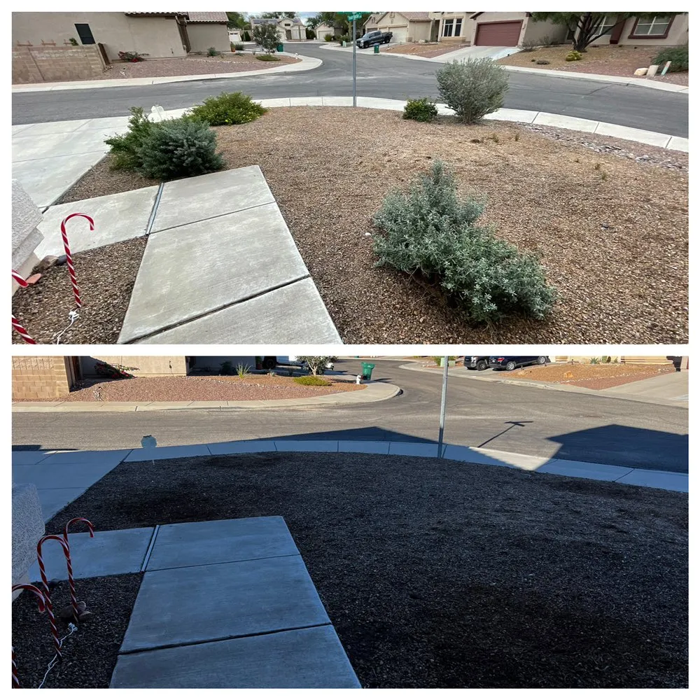 Reliable yard cleanup service experts serving Casas Adobes, AZ - PineApple Xpress Landscaping