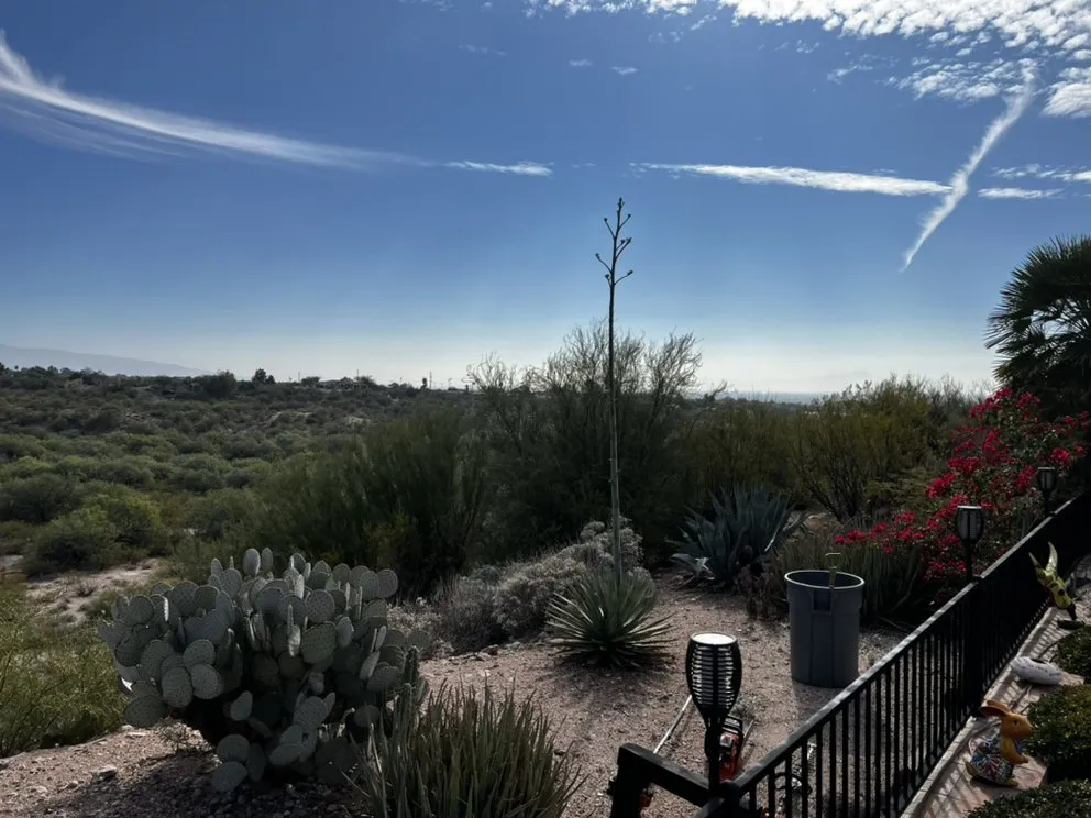 Professional landscaping services for residential properties across Casas Adobes, AZ - PineApple Xpress Landscaping