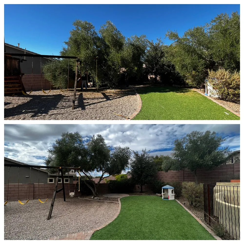 Trusted lawn care service near you across Casas Adobes, AZ - PineApple Xpress Landscaping