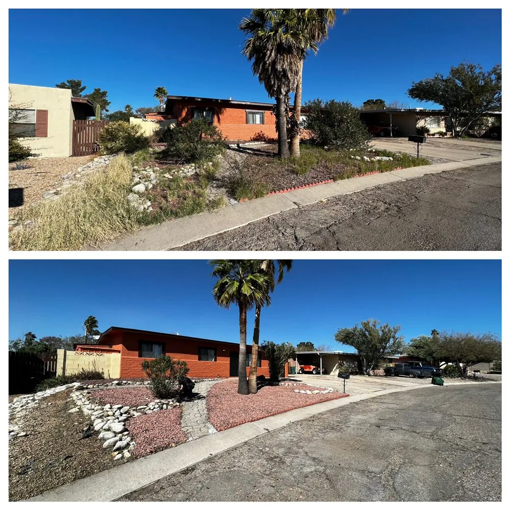 Professional lawn care service in Casas Adobes, AZ by PineApple Xpress Landscaping