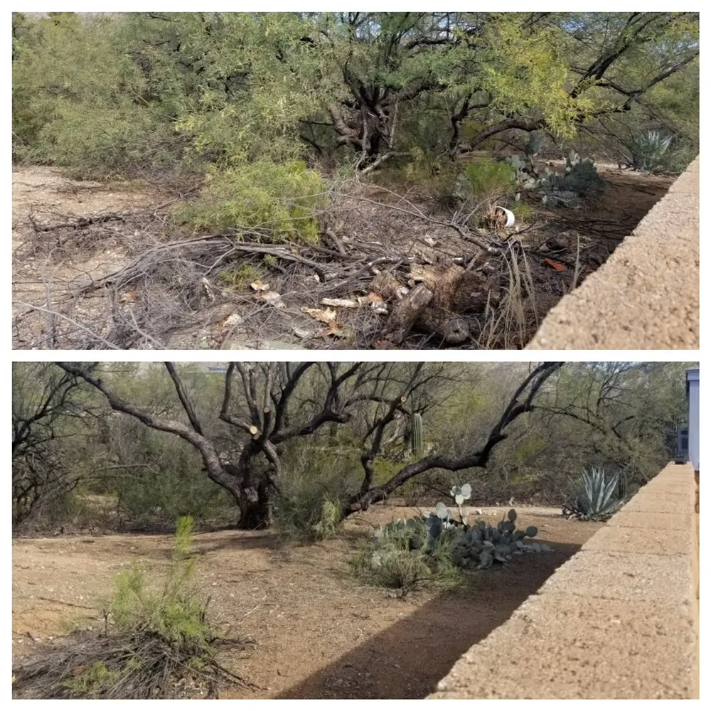 Top-rated landscape installation experts serving Casas Adobes, AZ - PineApple Xpress Landscaping