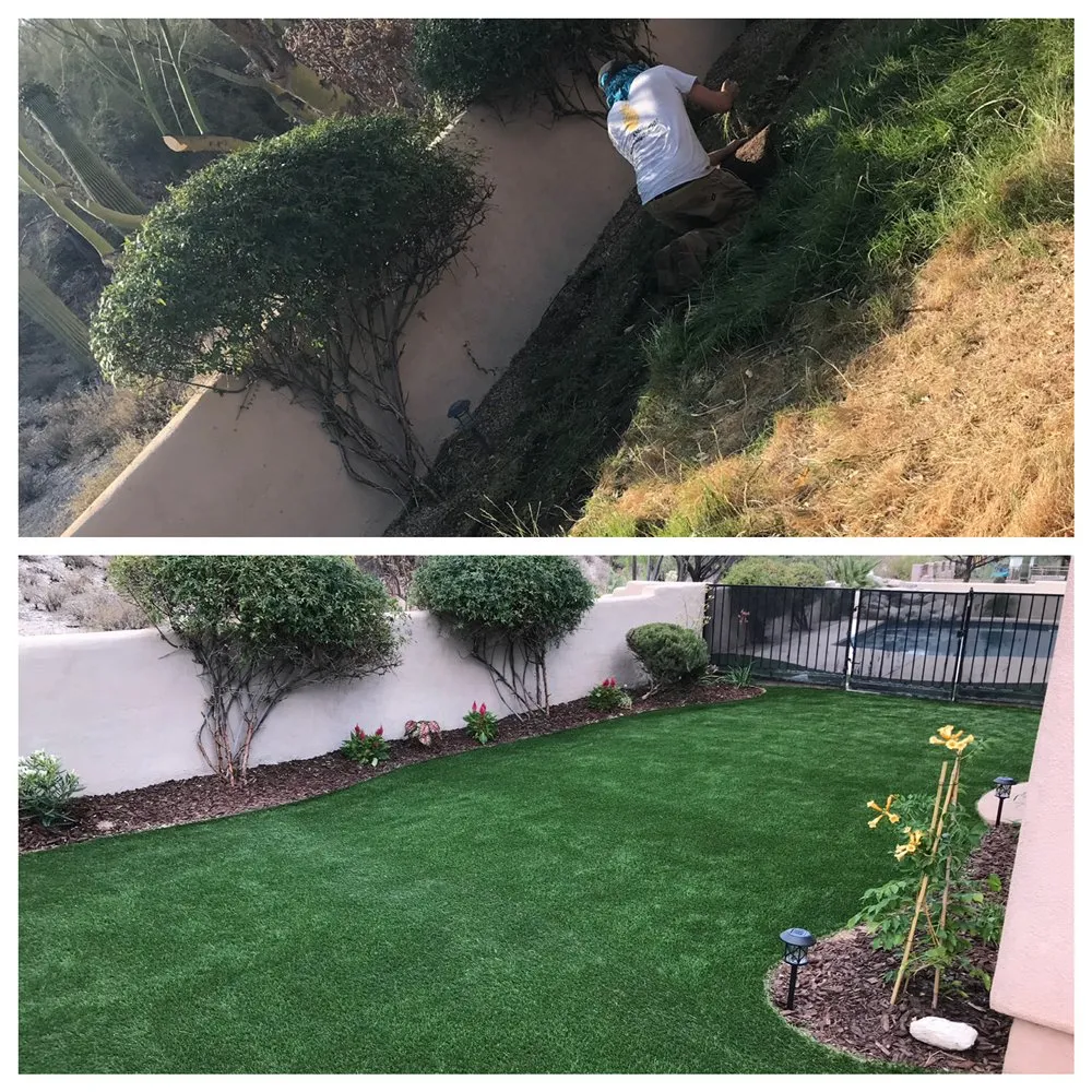 Custom residential landscaping for year-round maintenance in Casas Adobes, AZ by PineApple Xpress Landscaping