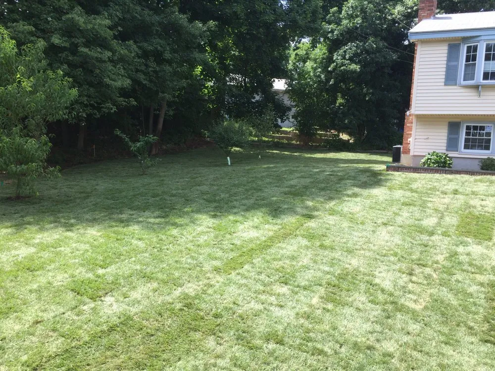 Affordable lawn mowing service for outdoor upgrades in Billerica, MA by Pineau Landscape Construction