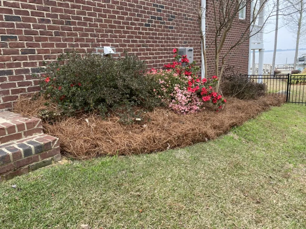 Local landscaping services experts serving Lexington, SC - Pinecone Lawn Care