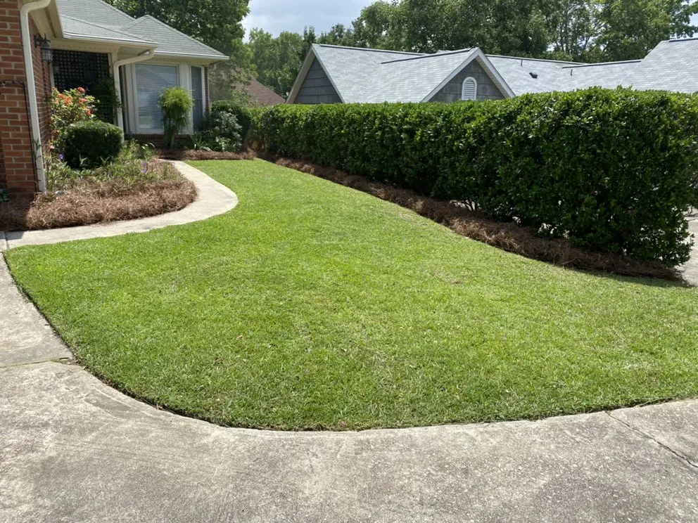 Affordable yard maintenance in Lexington, SC by Pinecone Lawn Care