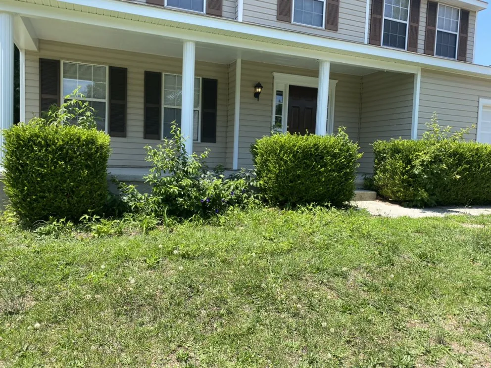 Local yard cleanup service near you across Lexington, SC - Pinecone Lawn Care