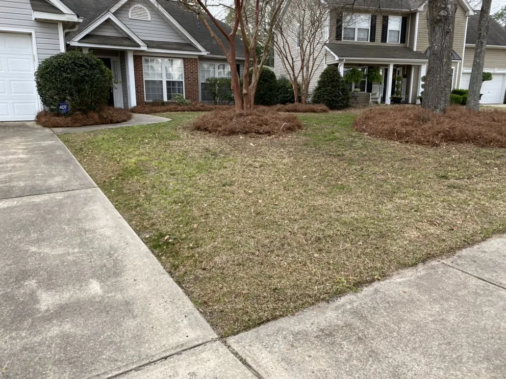 Local lawn mowing service for homes in Lexington, SC by Pinecone Lawn Care