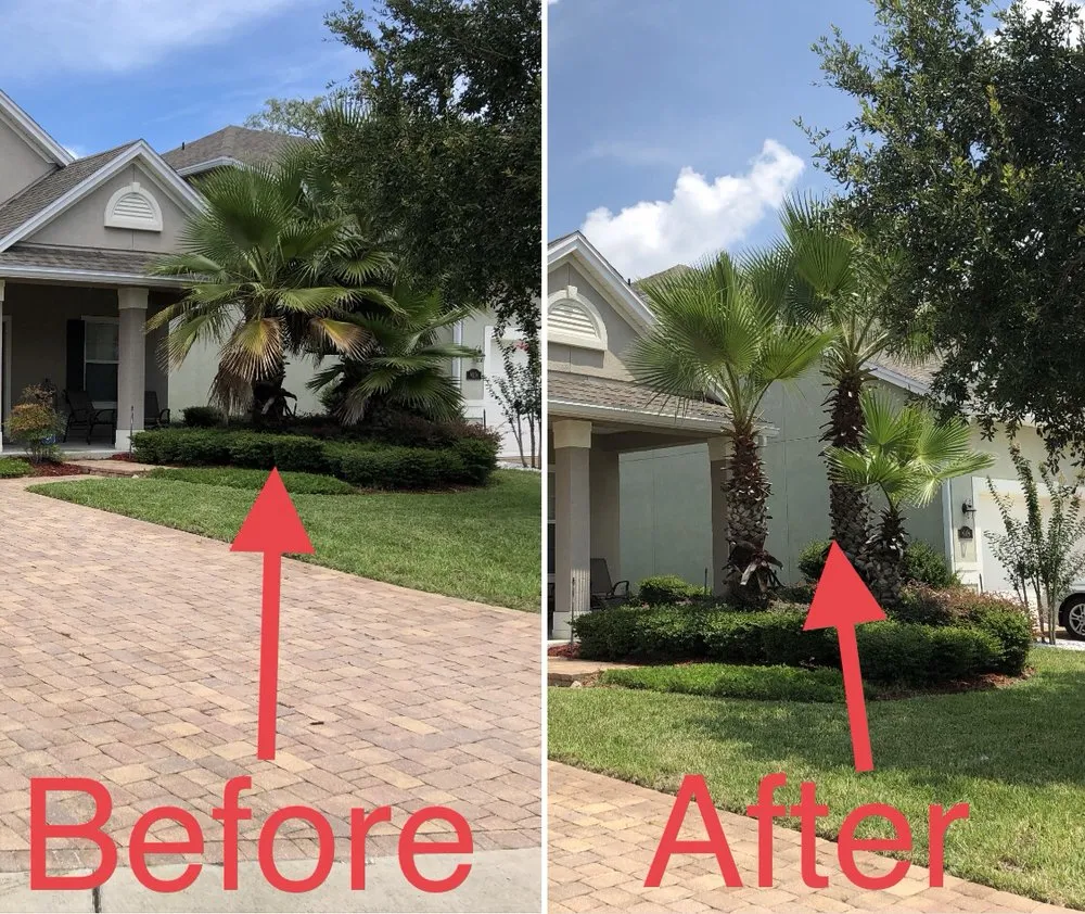 Local yard cleanup service experts serving Jacksonville, FL - Pineda Dynasty lawn care