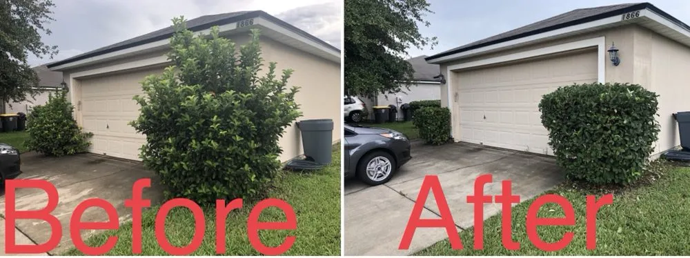 Reliable yard maintenance in Jacksonville, FL by Pineda Dynasty lawn care