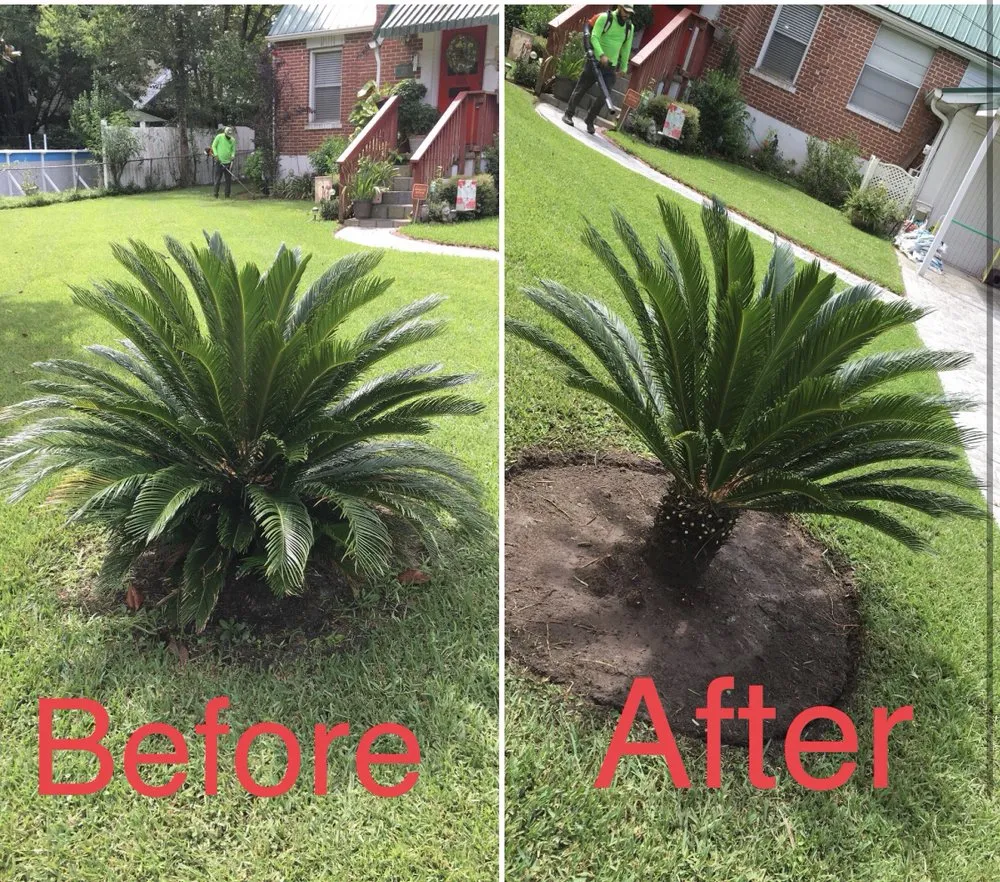 Affordable yard maintenance with custom design across Jacksonville, FL - Pineda Dynasty lawn care