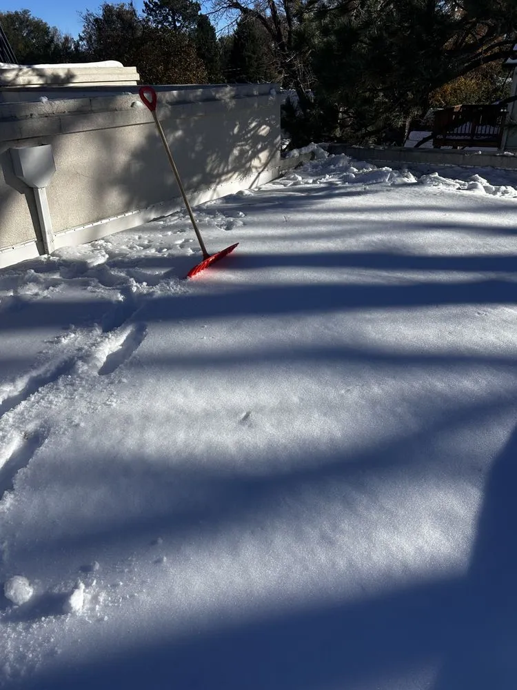 Affordable landscape installation in Colorado Springs, CO by Pineda Junk Services