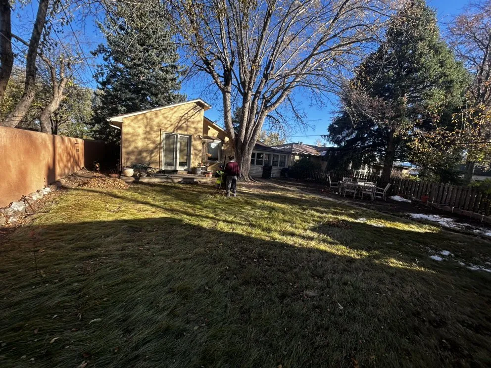 Trusted yard cleanup service in Colorado Springs, CO - Pineda Junk Services