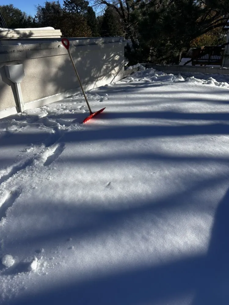 Custom lawn care service in Colorado Springs, CO - Pineda Junk Services