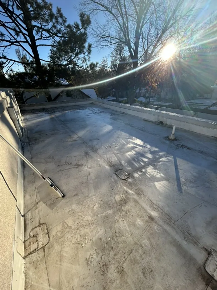 Top-rated landscaping services in Colorado Springs, CO by Pineda Junk Services