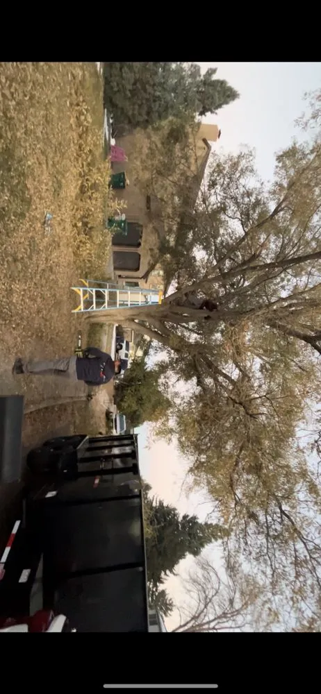 Custom landscape installation in Colorado Springs, CO by Pineda Junk Services