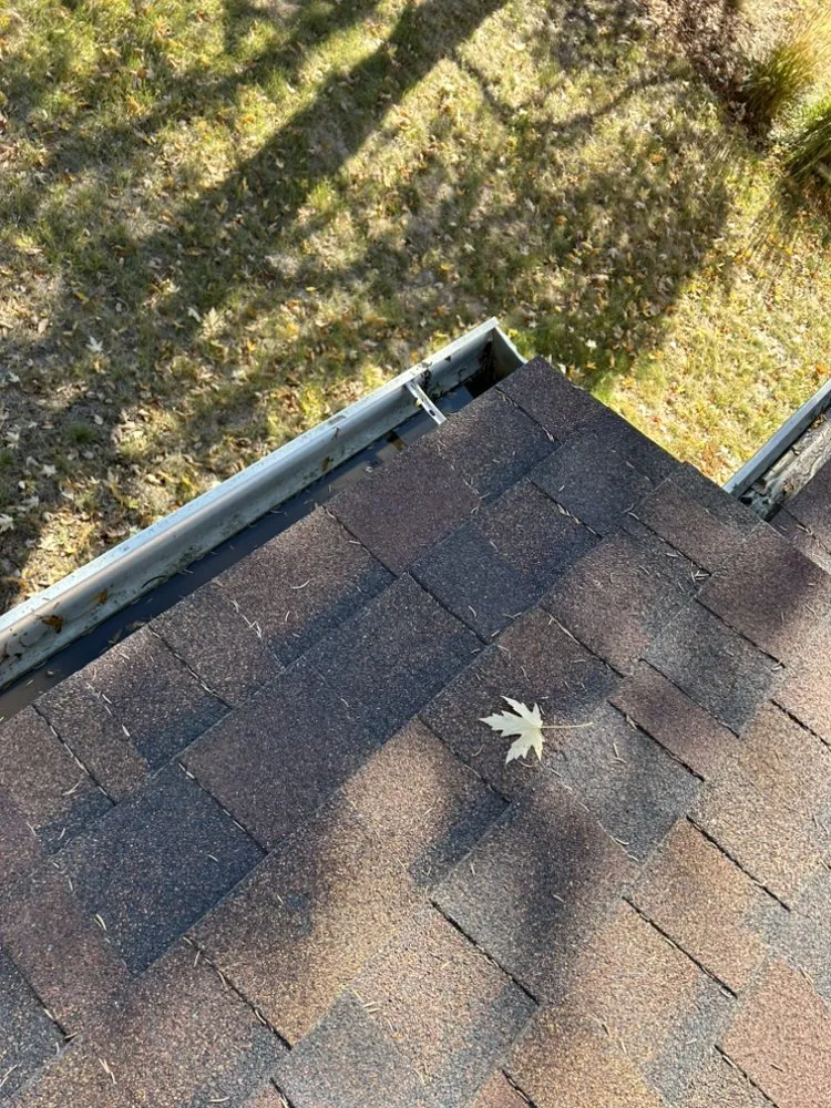 Reliable landscaping services in Colorado Springs, CO by Pineda Junk Services