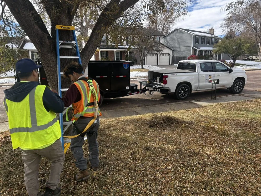 Local yard cleanup service experts serving Colorado Springs, CO - Pineda Junk Services