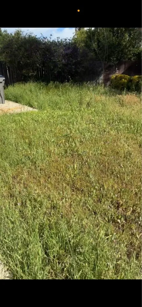 Local landscaping services for homes across Davis, CA - Pineda Land Scaping