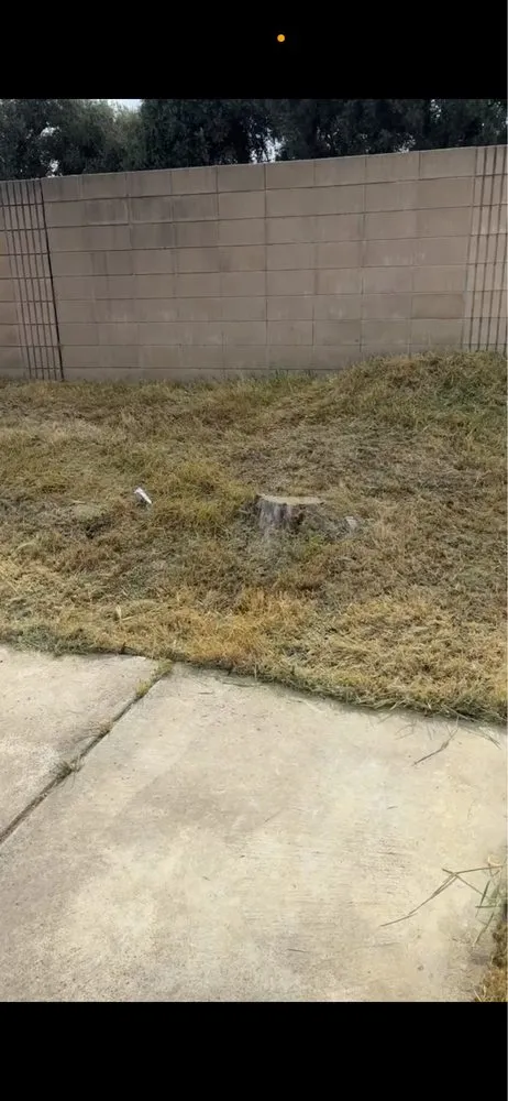 Top-rated landscape design for residential properties in Davis, CA by Pineda Land Scaping