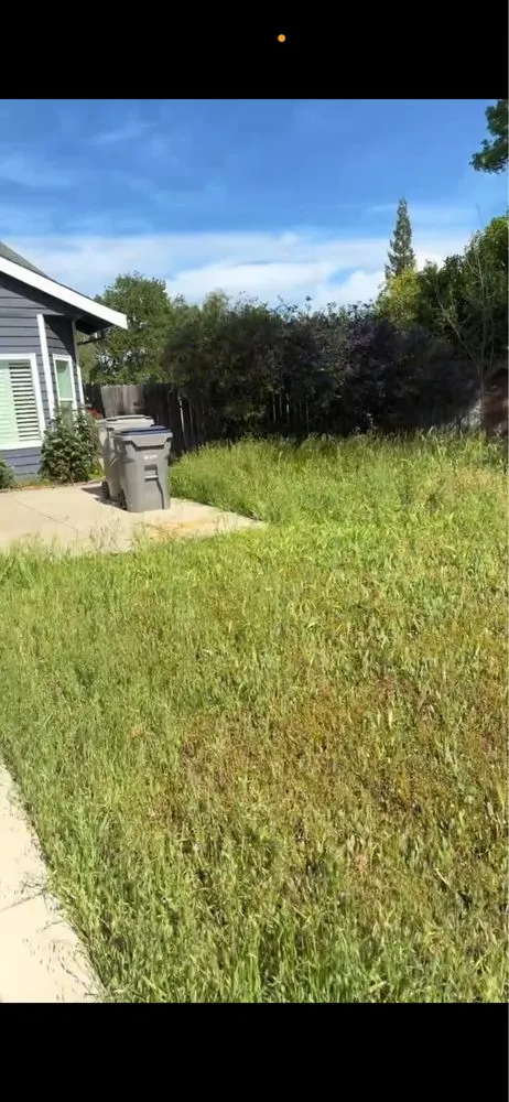 Professional landscape installation for residential properties across Davis, CA - Pineda Land Scaping