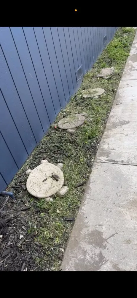 Reliable landscaping services for homes in Davis, CA by Pineda Land Scaping