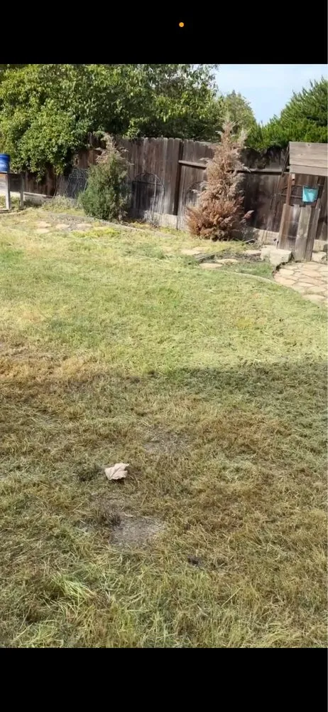 Custom outdoor landscaping experts serving Davis, CA - Pineda Land Scaping