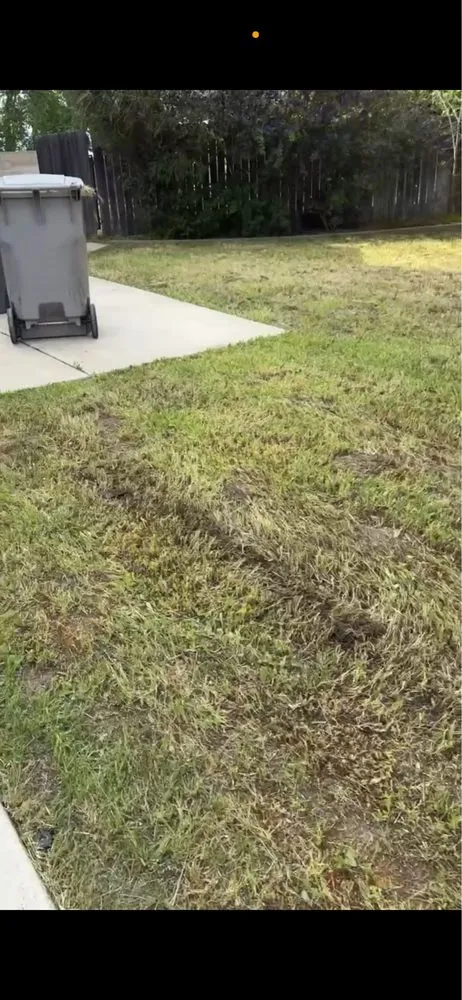 Professional residential landscaping for beautiful yards across Davis, CA - Pineda Land Scaping