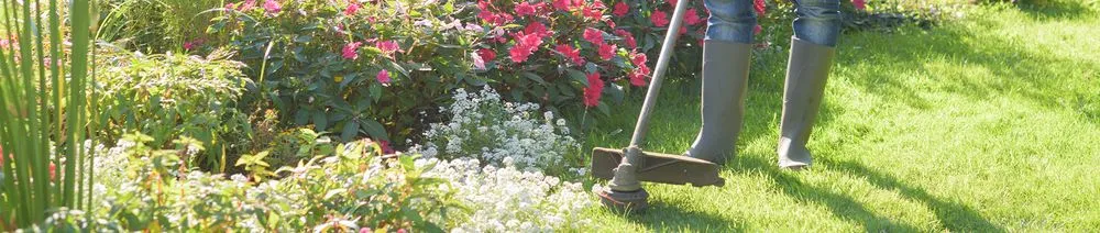 Custom lawn care service in Annapolis, MD by Pineda Landscaping