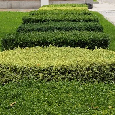 Trusted landscape design in Annapolis, MD by Pineda Landscaping